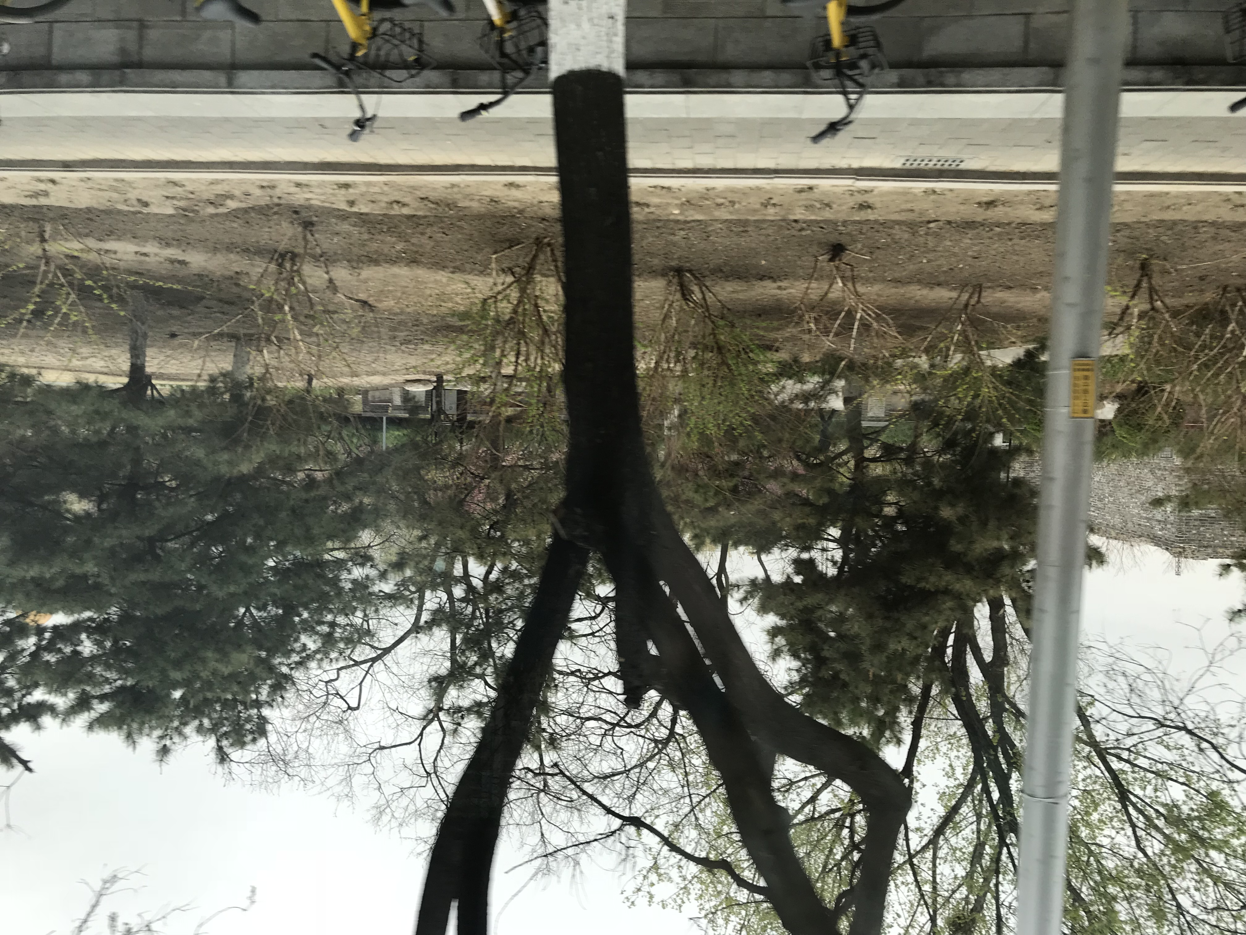 ./2018/03 - Viking China/09 - Beijing Miscellaneous/IMG_5750.JPG